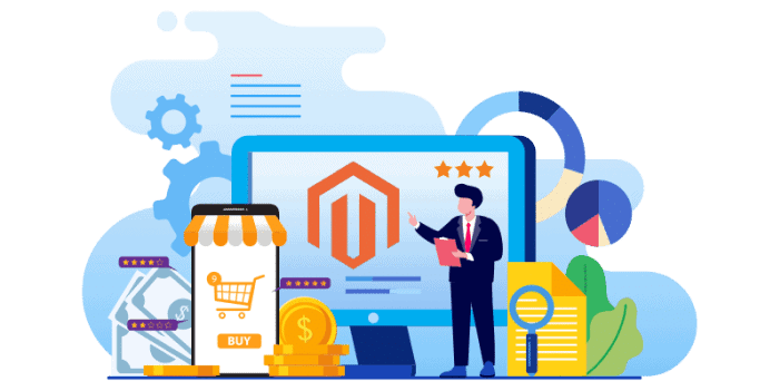 expert magento web developers