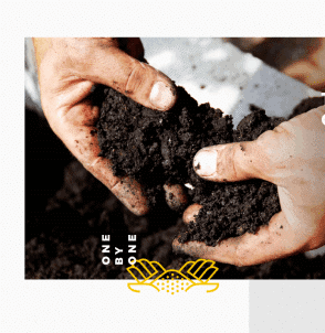 growersoil website 6design