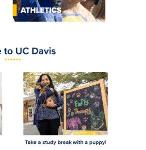 uc davis website 4design