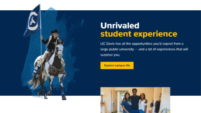 uc davis website 5design