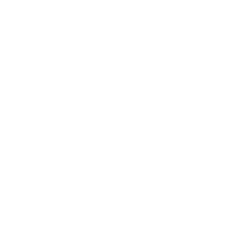 End-to-End Ownership X